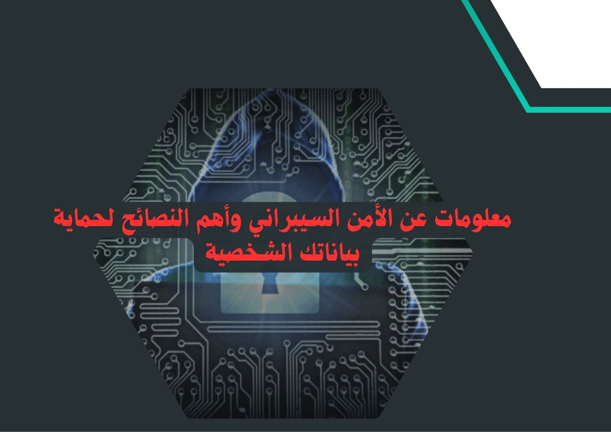 معلومات عن الأمن السيبراني